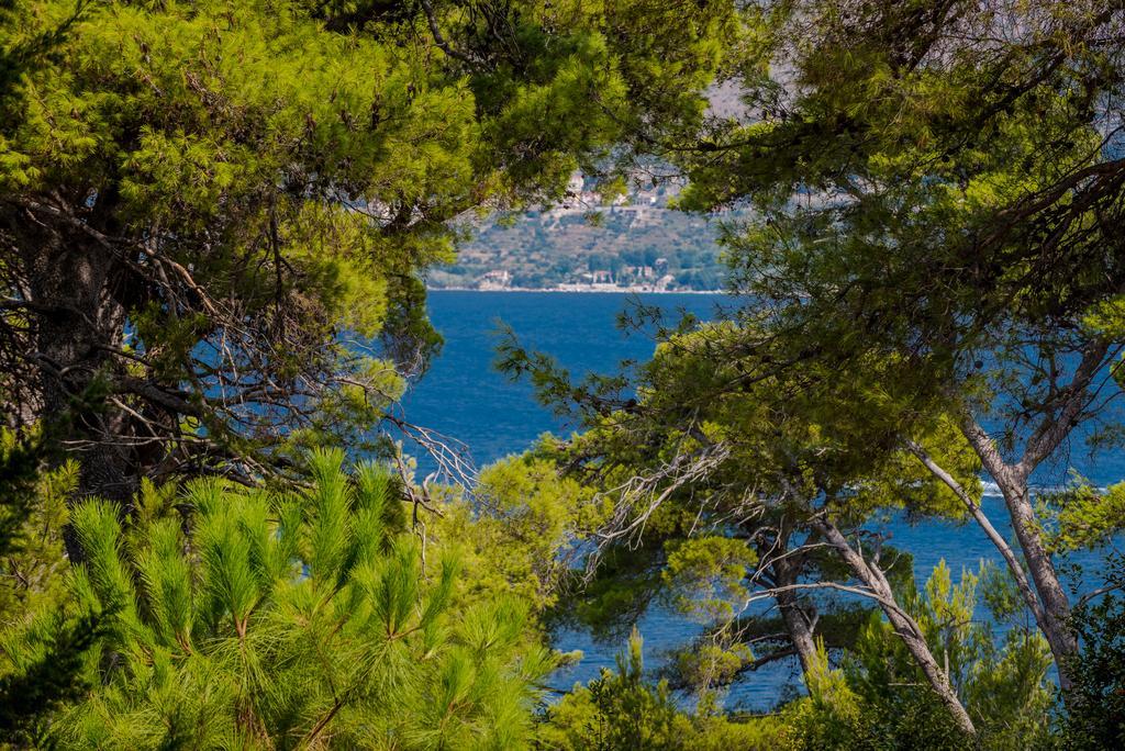 Apartment Dora Cavtat Luaran gambar